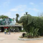 Best Zoos in the US