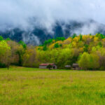 Smoky Mountains National Park