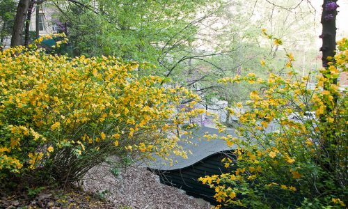 Basin Spring Park