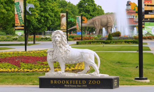 Brookfield Zoo (Chicago, Illinois)