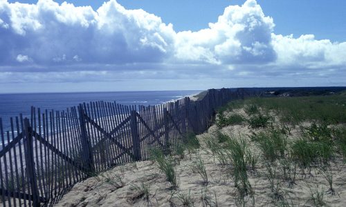 Cape Cod National Seashore