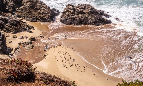 Carmel Beach (Carmel-by-the-Sea, California)