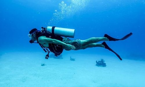 Dive in the Caño Island Biological Reserve