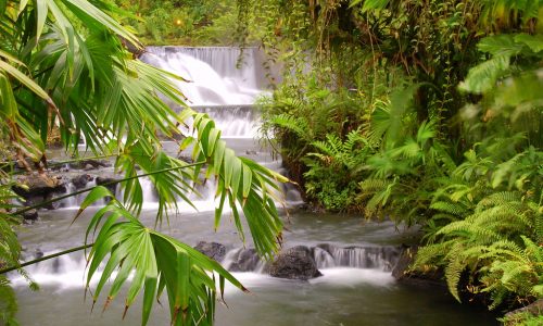 Hot Springs at La Fortuna