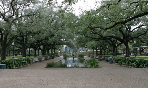 Houston Zoo (Houston, Texas)