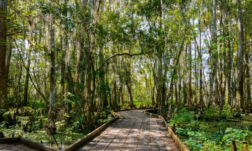 Jean Lafitte National Historical Park and Preserve