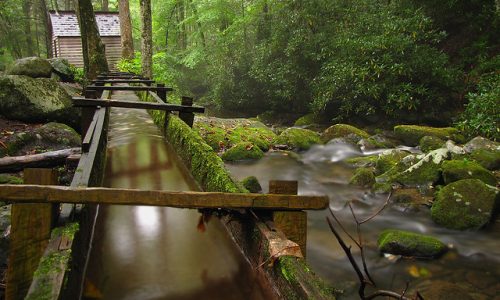 Roaring Fork Motor Nature Trail