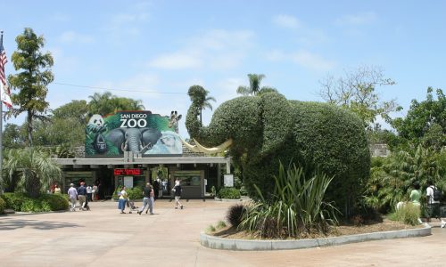 Best Zoos in the US