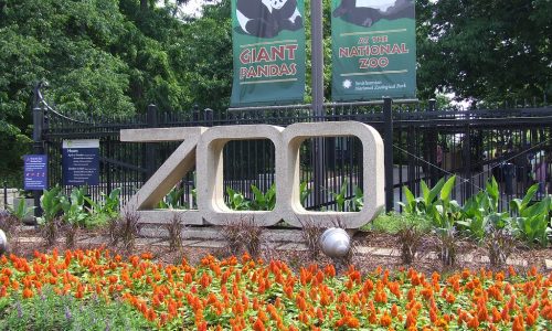 Smithsonian’s National Zoo (Washington, D.C.)