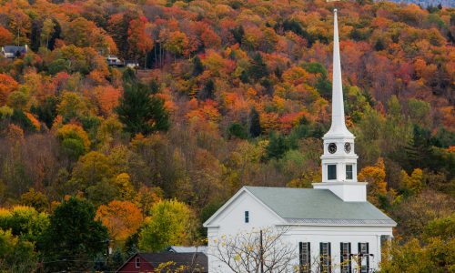 Vibrant Fall Foliage