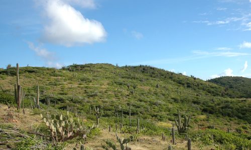 aruba Discover Arikok National Park