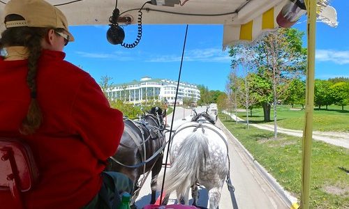 horse-drawn carriage tour.