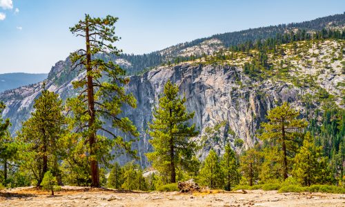 Yosemite National Park